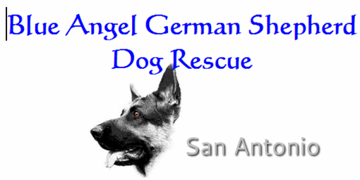 Blue Angel German Shepherd Dog Rescue San Antonio